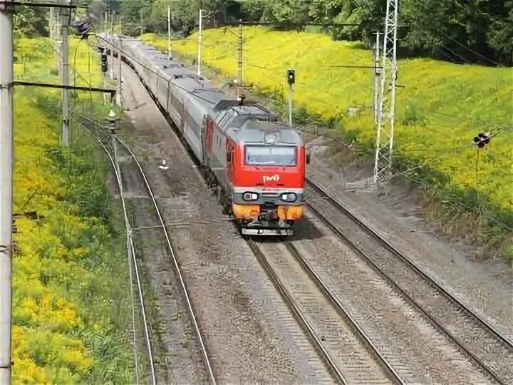 Москва белгород остановки. Расписание поездов белгород спб. Поезда санкт-петербург белгород. Санкт-петербург белгород поезд маршрут. Поезд 120в белгород санкт-петербург.