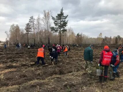 Высадили людей в лесу