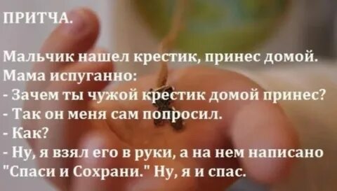 Мальчик принес домой