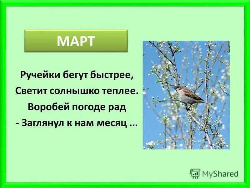 Загадки про весну для детей 4 лет. Загадки про весну. Маленькие весенние загадки. Весенние загадки с ответами. Загадки о весне для дошкольников.