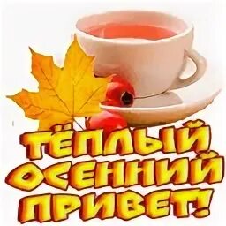 Стикер доброй осени. Стикер доброй осени. Стикер доброй осени. Привет, осень!. Привет от осени.