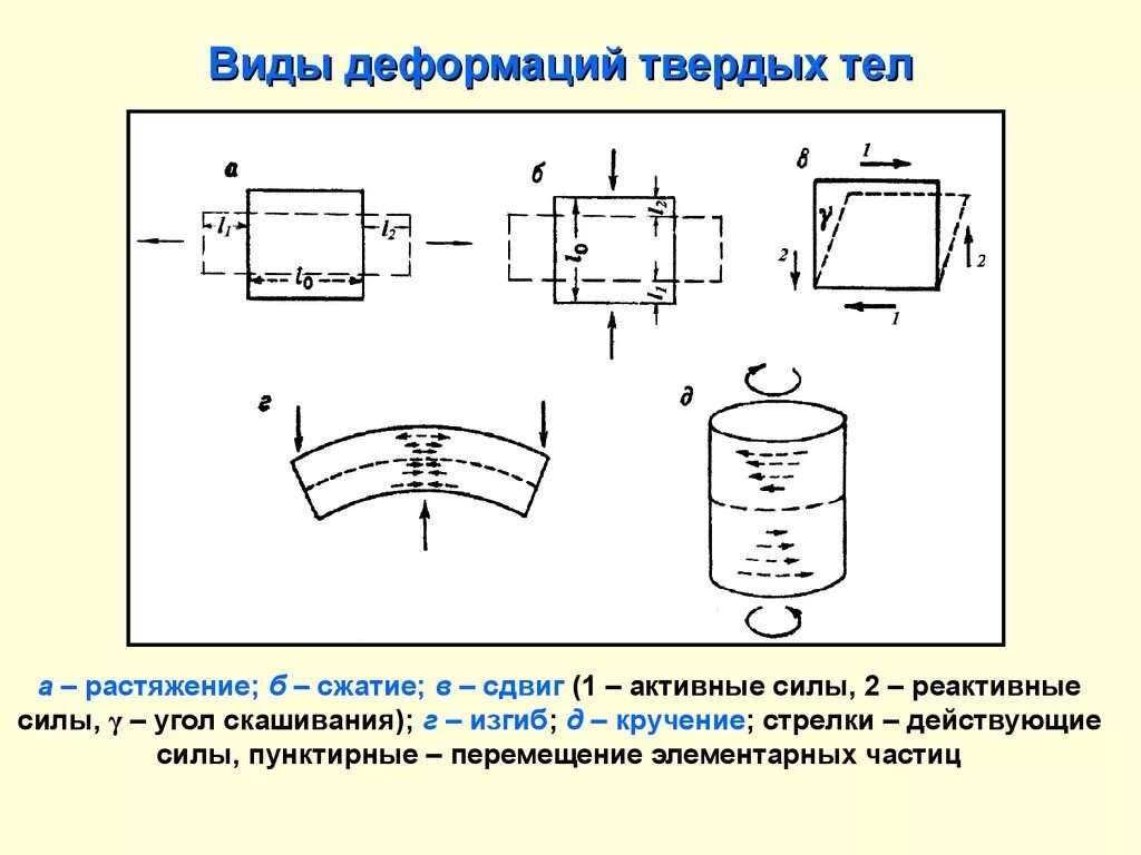 Какие есть виды деформации - Вопросы и ответы