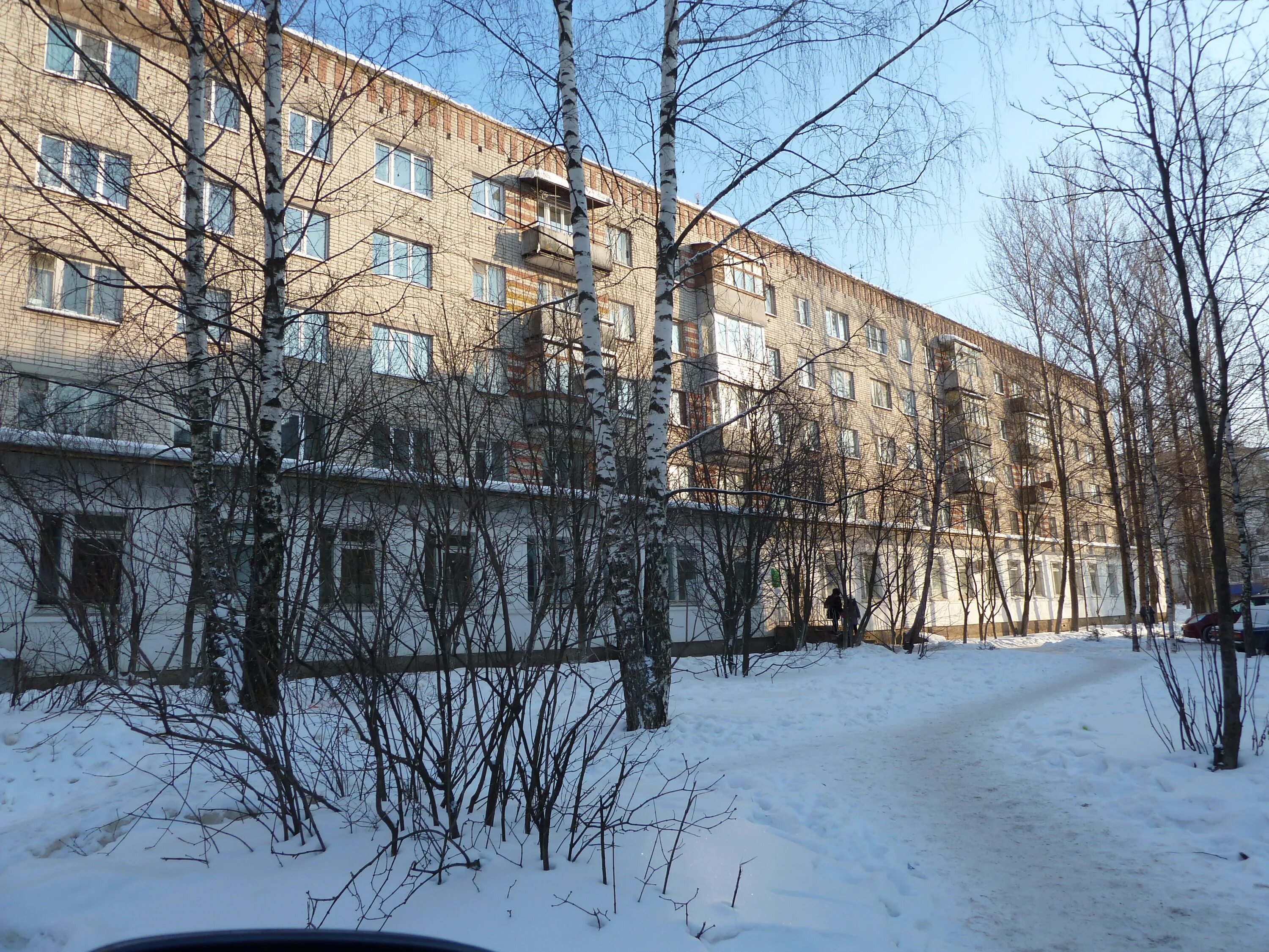 Фестивальная 9 стерлитамак. Поликлиника на фестивальной кострома. Кострома фестивальная 28. Фестивальная 28 кострома. Посёлок октябрьский кострома.