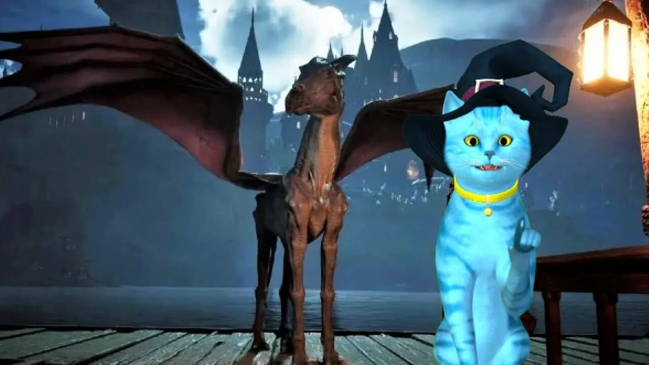 Hogwarts legacy гиппогриф. Hogwarts legacy фестрал. Хогвартс легаси фестрал. Фестрал хогвартс легаси где находится. Фестралы легаси.