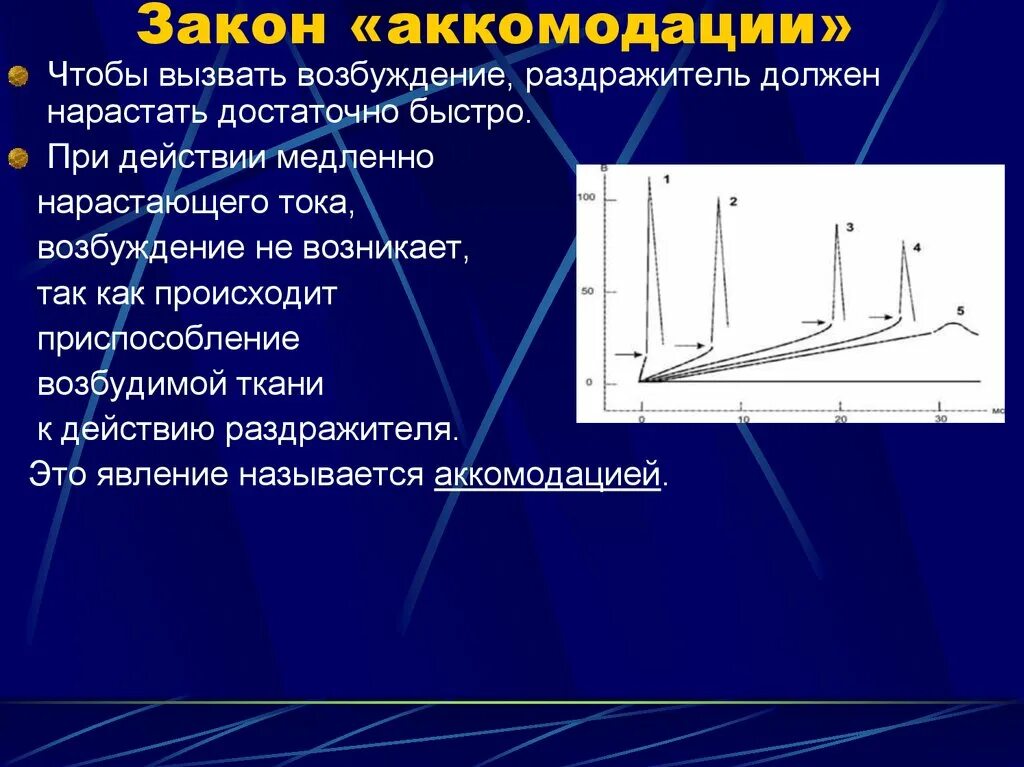 Закон аккомодации. Закон аккомодации физиология. Закон градиента раздражения аккомодация. Законы аккомодации раздражителя.