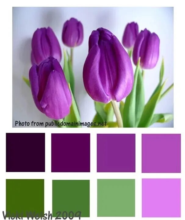 Проект палитра. Сочетание цветов. Сочетание с фиолетовым. Тюльпаны цветовая палитра. Цветовые сочетания с фиолетовым.