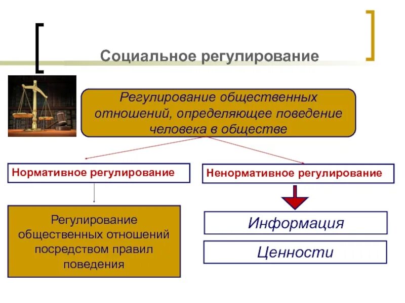 Система социальных отношений в обществе это. Понятие регулирования общественных отношений. понятие социально нормативного регулирования. виды регулируемых общественных отношений. социальное регулирование современного общества кратко.
