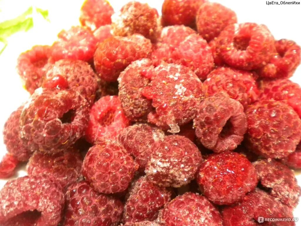 как употреблять ягоды. полезные и лечебные свойства калины. ягода голубика. брусника полезные свойства. как употреблять ягоды.