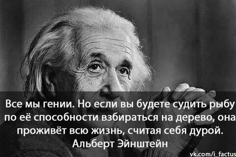 Фраза гения