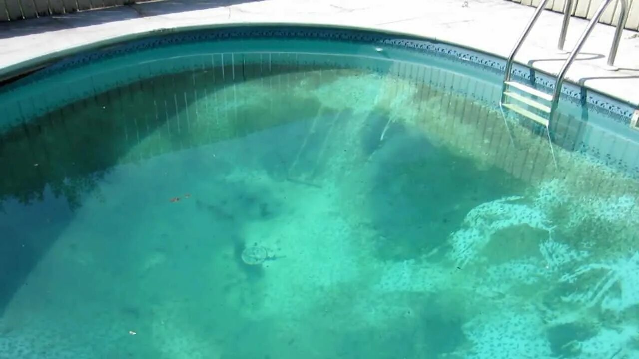 Dirty pool. Дирти пул. dirty pool галерея. dirty pool 2. dirty pool 1.2.