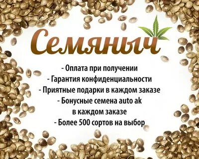 Каталог семена заказ на 2024