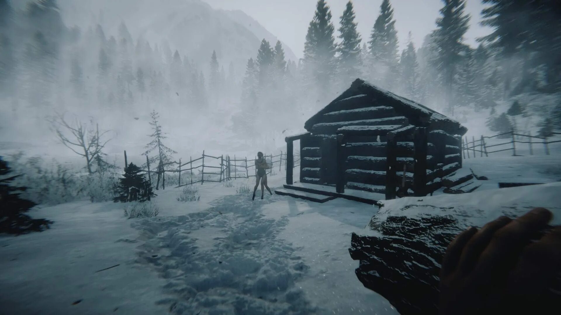 Sons of the forest по сети. The forest sons of the forest. игра форест 2. the forest 2025. sons of the forest 2.
