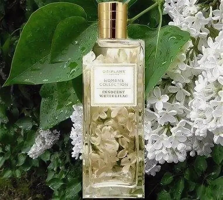 32438 Орифлэйм. Туалетная вода women's collection innocent White Lilac Oriflame. Innocent White Lilac Oriflame. Вода белая сирень Орифлейм. Аромат белой сирени