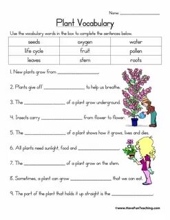 Plants vocabulary