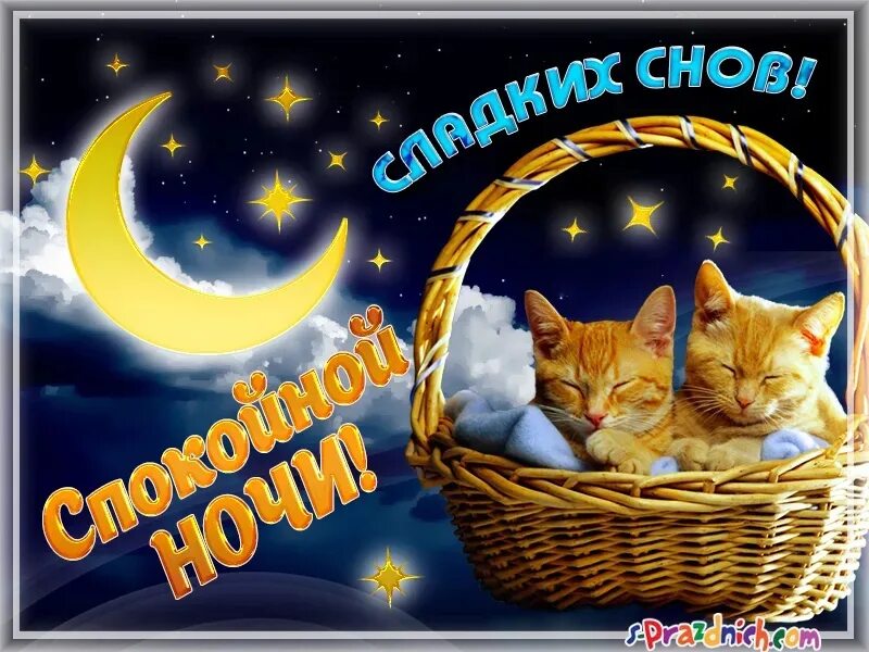 Открытка спокойной ночи сладких летних снов. Доброй ночи. Красивых снов картинки. Пожелания доброй ночи. Открытка спокойной ночи сладких летних снов.