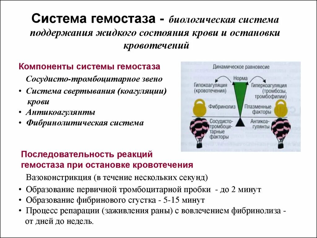 В останавливается системы. Гомеостаз крови система свертывания. Компоненты системы гемостаза. Составляющие системы гемостаза. Поддержание гемостаза.