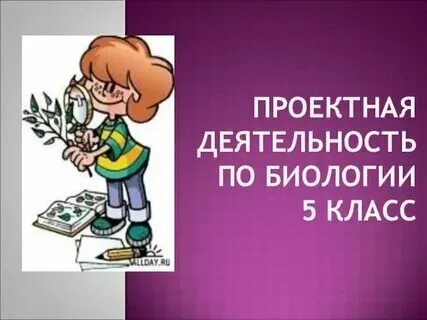 Проект исследовательской работы по биологии Скачать презентацию на тему Исследовательская работапо биологииВлияние света на
