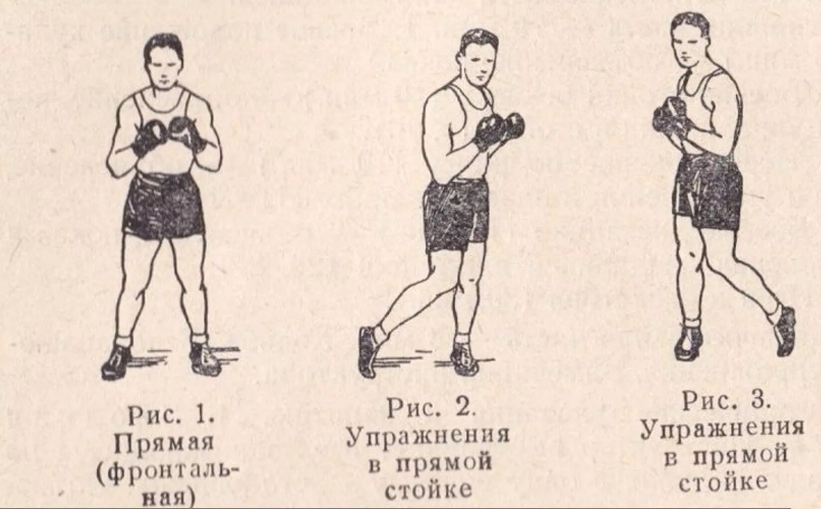 Боксерские упражнения. Тренировка боксера. Упражнения для бокса. Советские боксёрские упражнения. Упражнения для тренировок бокс.