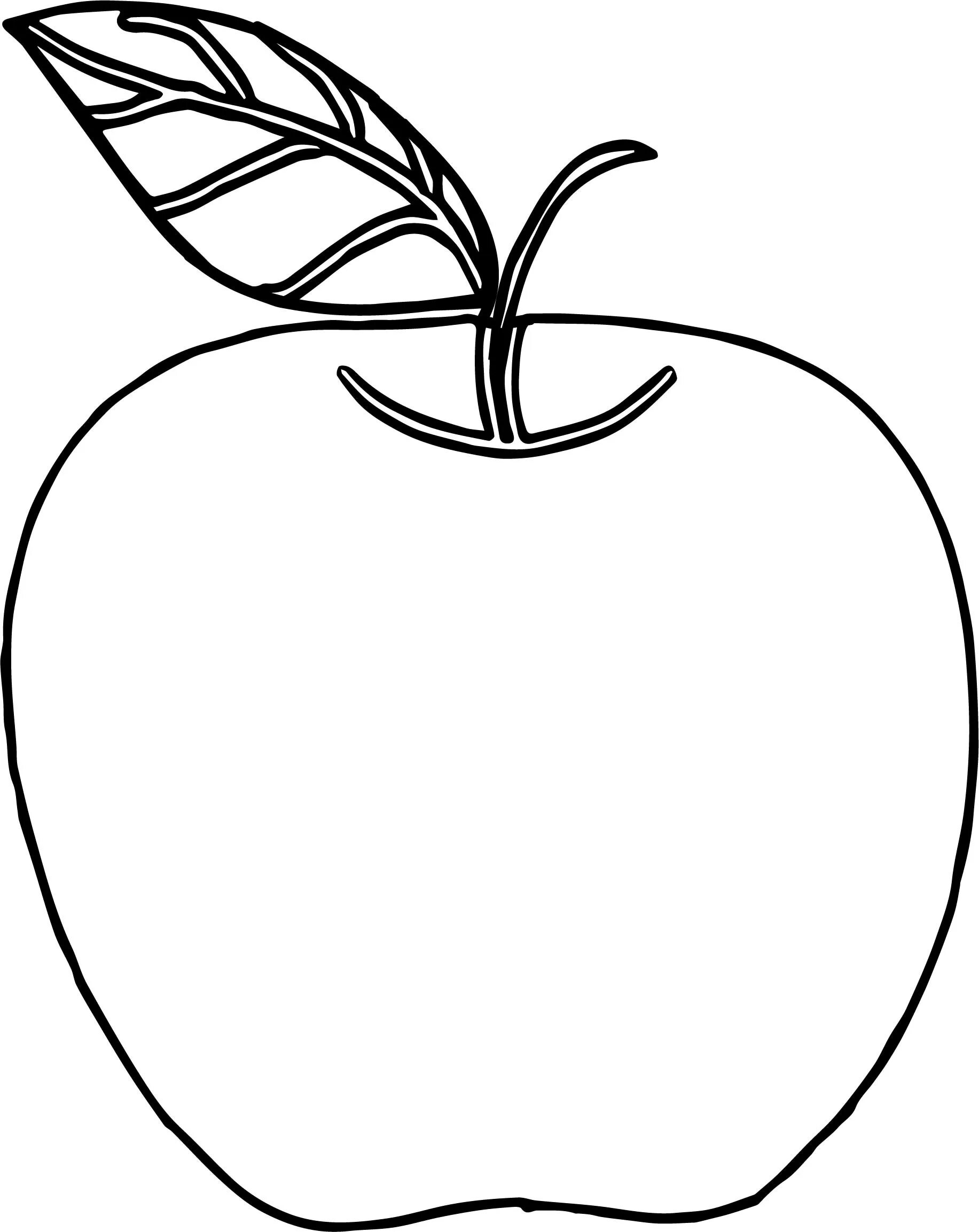 Раскраска 3 яблока. Яблоко раскраска. Яблоко раскраска для детей. Яблоко раскраска для малышей. Яблоко трафарет.