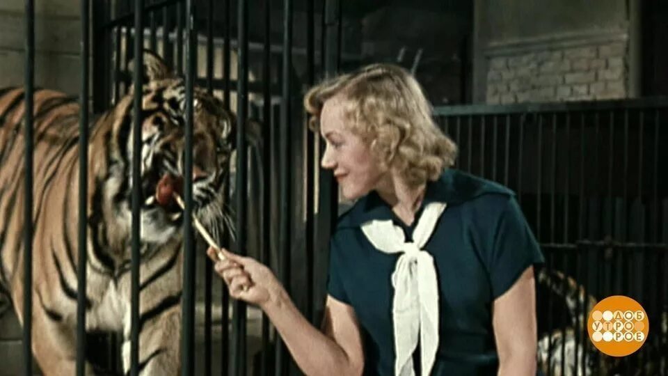 Тигр и девушка. Слабейшая укротительница в путешествии по сбору питомцев. Слабейшая укротительница по сбору питомцев. Слабейшая укротительница в путешествии по сбору питомцев. Слабейшая укротительница по сбору питомцев.