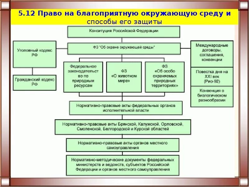 Сложный план по теме правонарушения. Право на благоприятную окружающую среду и способы его защиты. Способы защиты прав граждан на благоприятную окружающую среду.