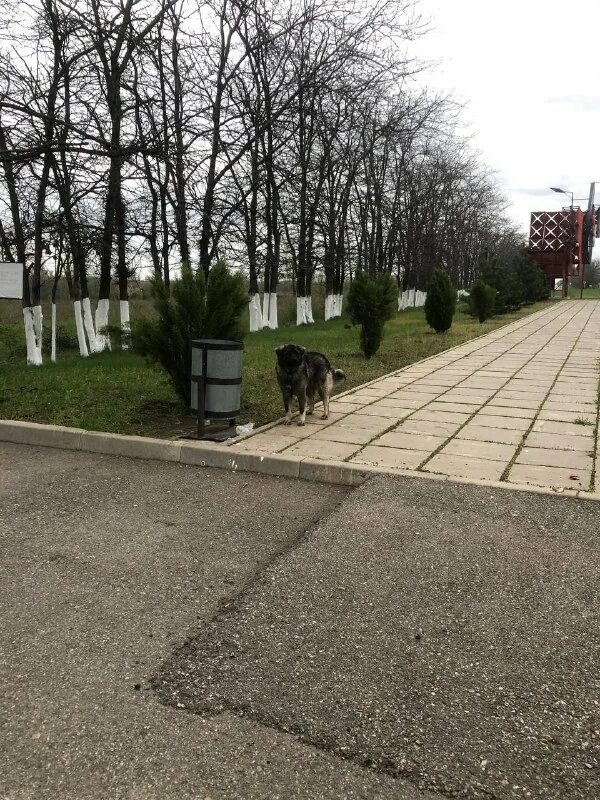 активисты картинки для детей. город изобильный ставропольский край. кпрф ставрополь. добро изобильный. добро изобильный.