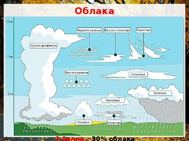 Образование облаков осадки. Слоисто дождевые облака схема. Кучевые облака 6 класс география. Кучевое и кучево Дождево облако схема. Ярусы облаков схема.