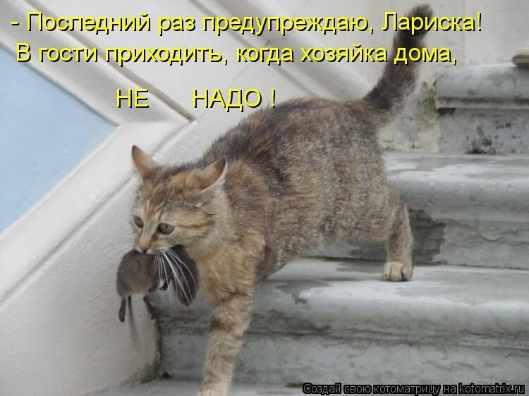 Часто не может есть сам