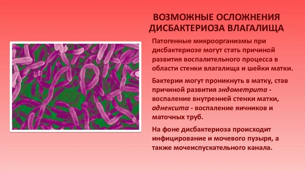 Микрофлора гинекологии. Дисбактериоз влагалища. дисбактериоз микрофлоры влагалища. нарушена микрофлора влагалища. нарушение микрофлоры влагалища симптомы.