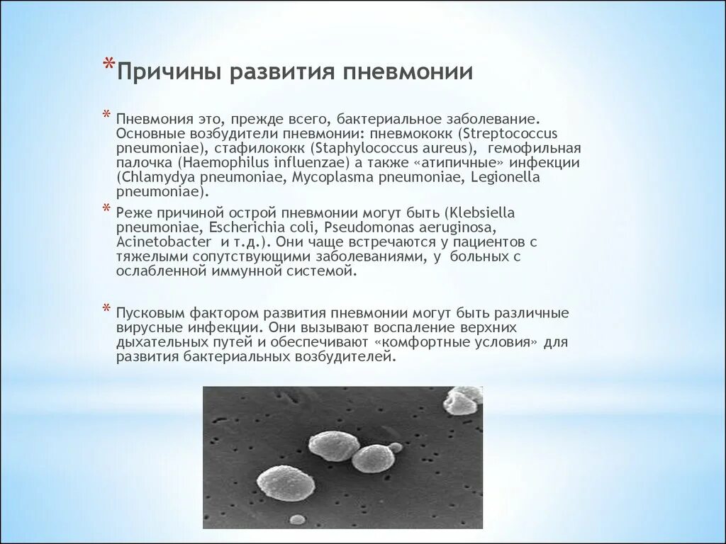 Какие возбудители вызывают пневмонию. Бактериальная пневмония возбудители. Какие микроорганизмы вызывают пневмонию. Пневмония возбудитель заболевания. Пневмония вызывается бактериями.