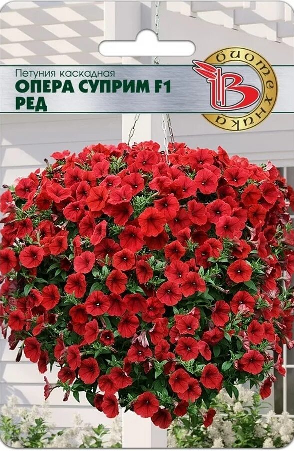 Петуния surfinia table dark red. Петуния ампельная и каскадная. Петуния опера суприм f1. Петуния опера суприм f1. Петуния ампельная опера red.