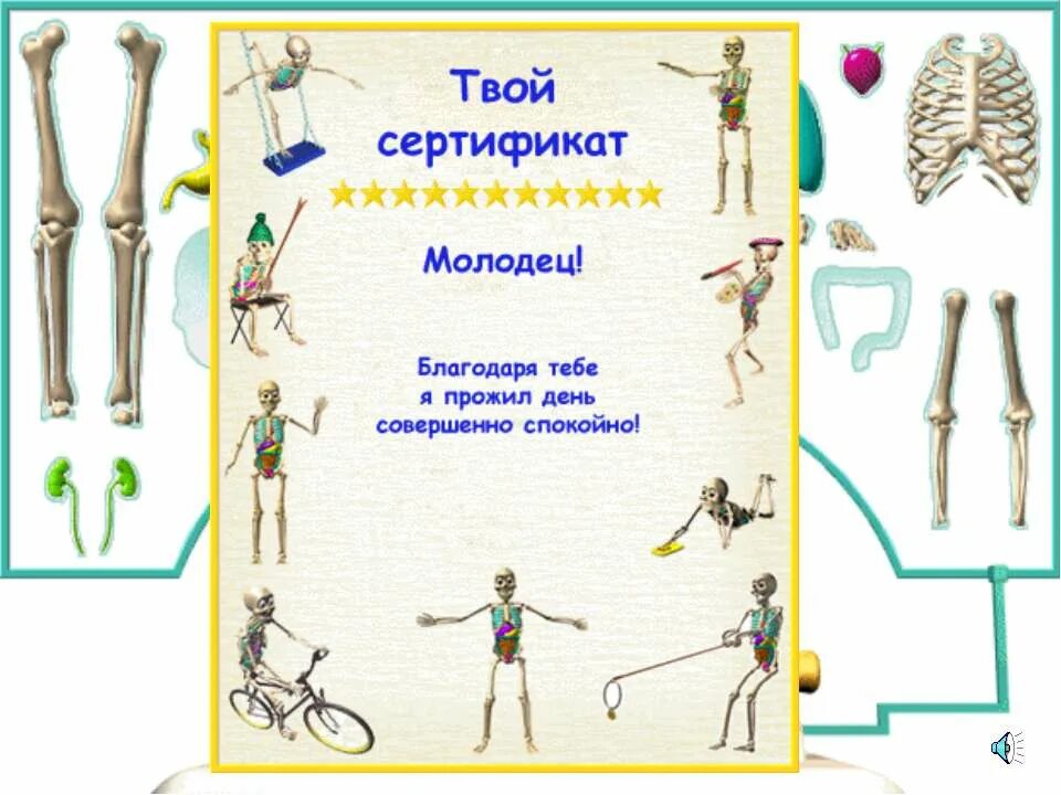 твой организм 2 класс. игра скелет косточкин. твой организм 2 класс. зачем знать строение организма. твой организм 2 класс.