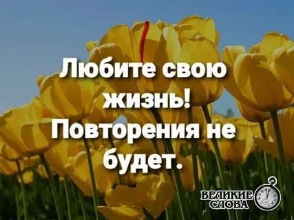 Каждая жизнь повторяется