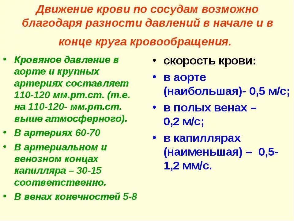 Какова зависимость изменения скорости движения крови. Скорость движения крови по сосудам. Движение крови по сосудам скорость кровотока. Причины движения крови. Причины движения крови по сосудам.