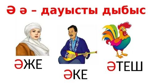 Жыныстық доп