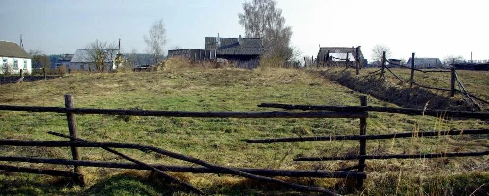 Погода новые дарковичи. Дарковичи брянская область. брянская область севский район село поздняшовка. кладбище дарковичи брянск. село синин брянской области.