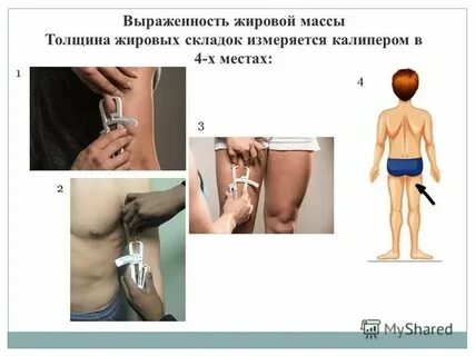Толщина подкожно жировой складки