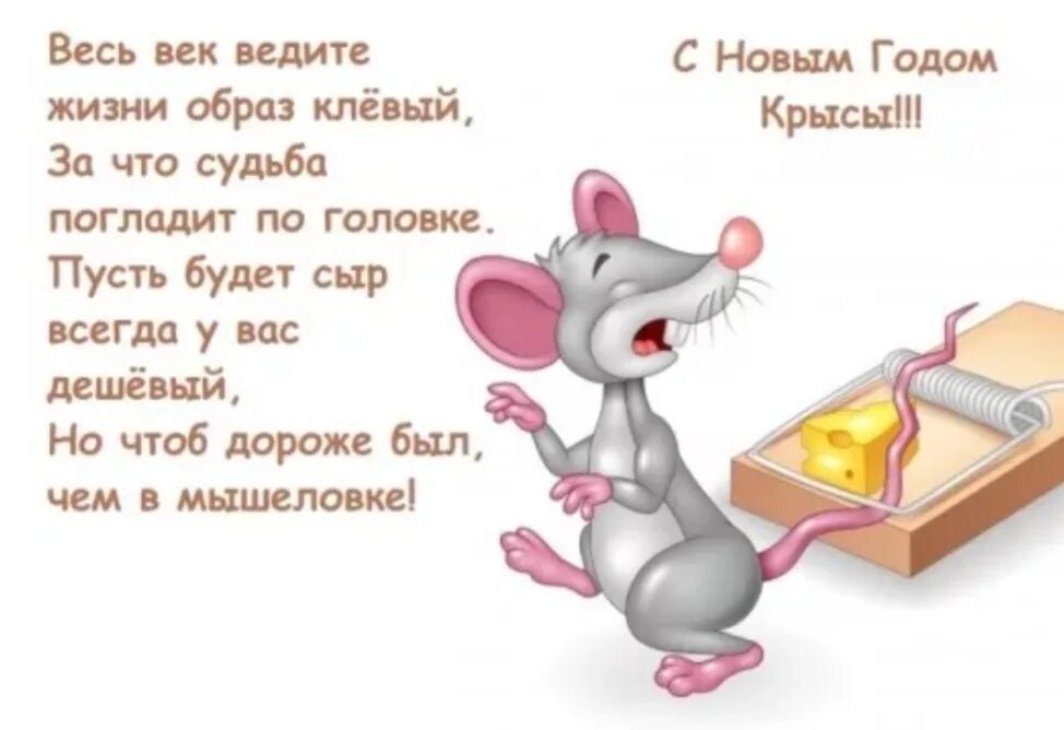Мышиные стихи. Стих про крысу. мышка с пожеланием. стихи про мышей смешные. открытки с днём рождения с мышками.