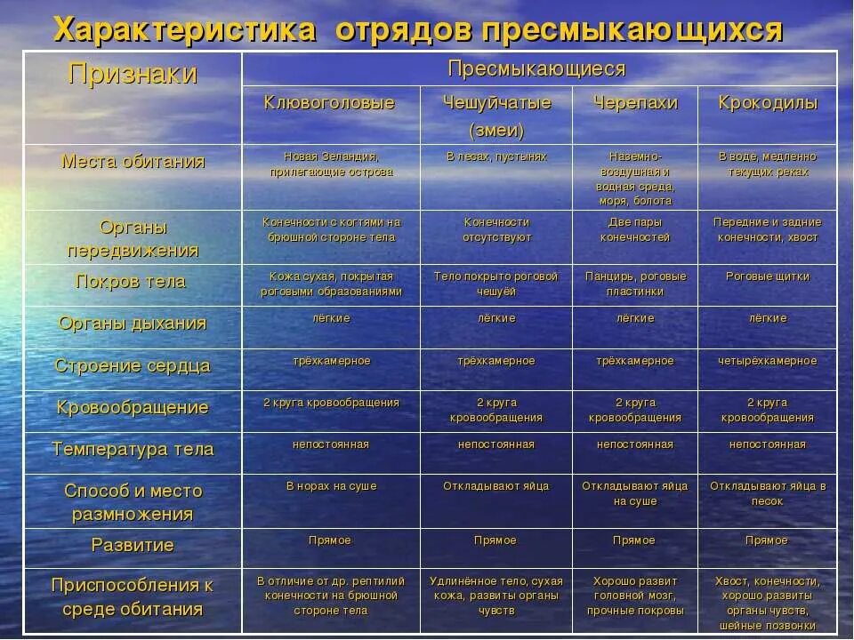 Особенности внешнего строения пресмыкающихся таблица