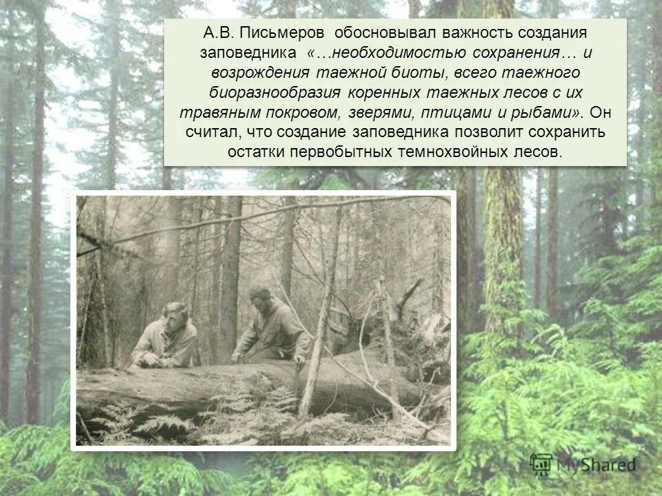 В каком году был создан заповедник. В каком году был создан заповедник