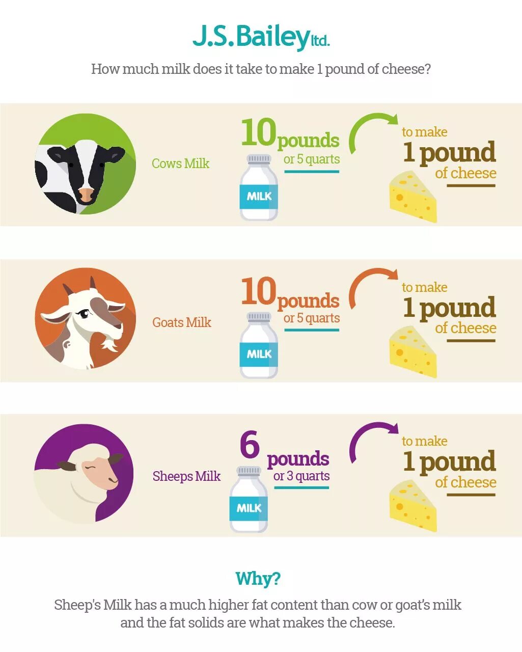 How much does it take. How much milk. how much. корова инфографика. how much cheese.