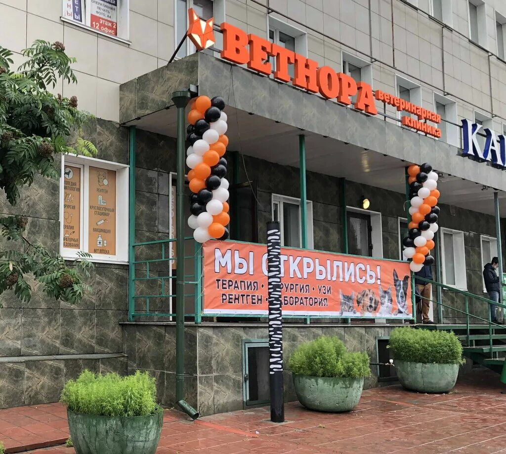 В Новосибирске загорелась "Мария-Ра" на Богаткова - 7 июня 2021 - НГС.ру