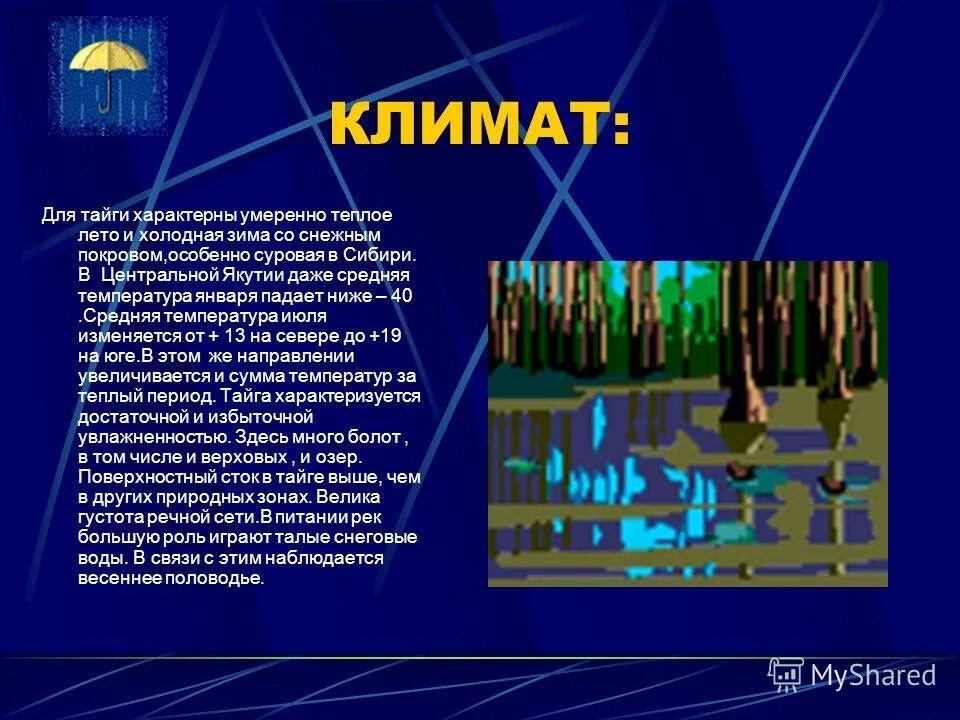особенности природы тайги. природная зона тайга почвы. дерново-подзолистые почвы природная зона. подзолистые почвы географическое климат. зона дерново-подзолистых почв южной тайги.