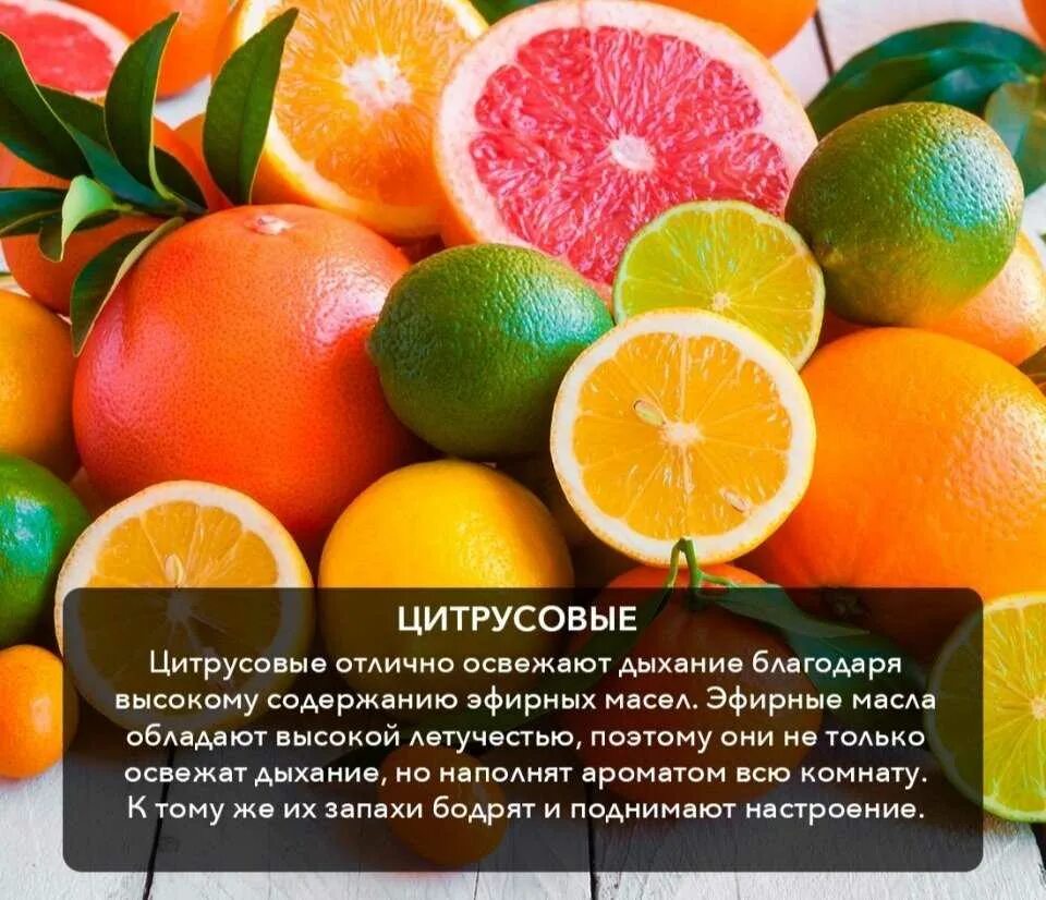 Апельсин есть вечером. Полезные фрукты цитрусовые. Полезные фрукты для похудения. Фрукты полезные для фигуры. Лучшие фрукты для похудения.