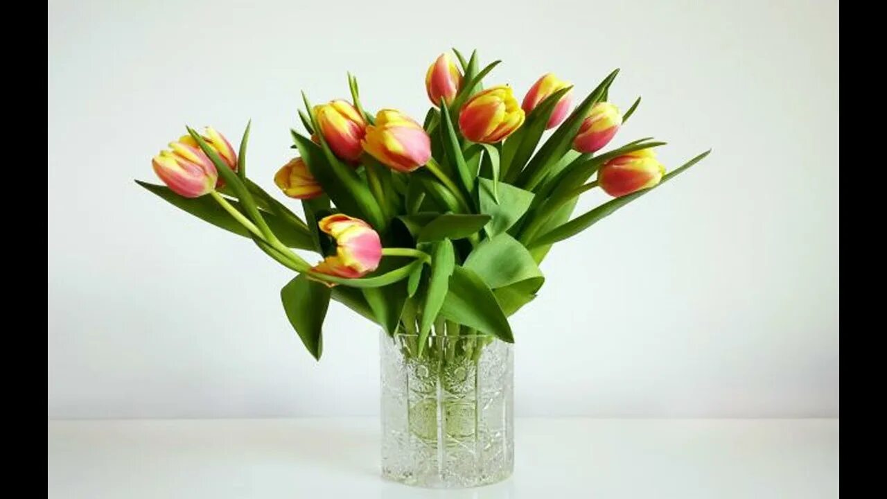 Сколько стоят в вазе тюльпаны с водой. Тюльпаны в вазе фото дома. Чтобы тюльпаны дольше стояли в вазе. Букет из оранжевых тюльпанов.