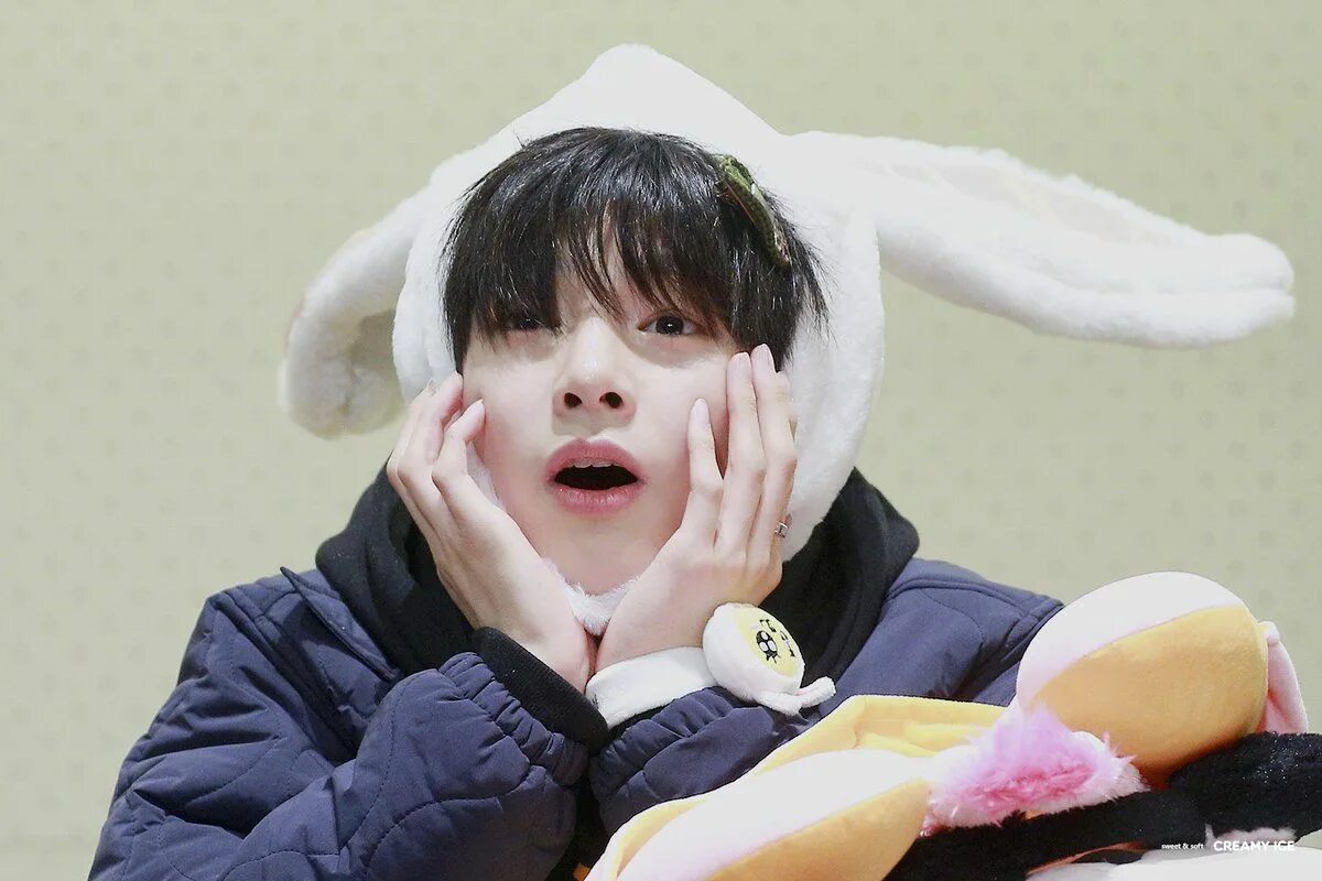 Смешные картинки stray kids. Ян чонин мем. чонин stray kids мемы. ян чонин stray kids мемы. чонин stray kids руки.