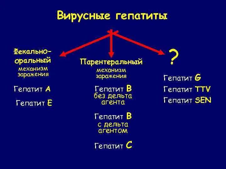 Острый вирусный гепатит механизм передачи. Вирусный гепатит c механизм передачи. Механизм заражения вируса гепатита а. Механизм передачи вирусов гепатитов а и е. Типы вирусных гепатитов