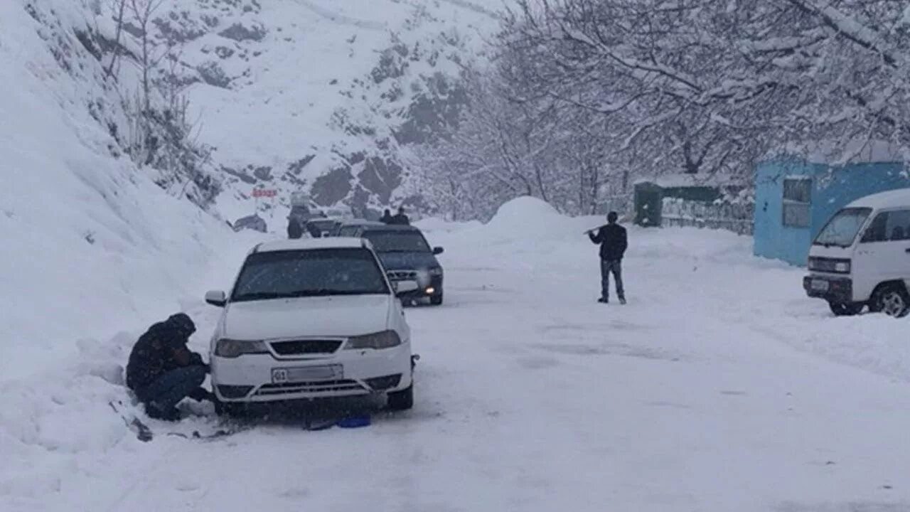 Выжить в самарканде от 14 января