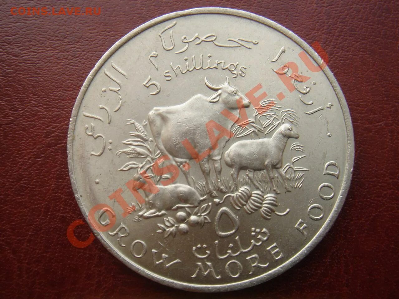 Сомали 5. Сомали 5