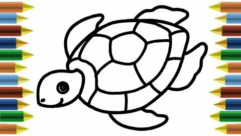 Turtle нарисовать круг